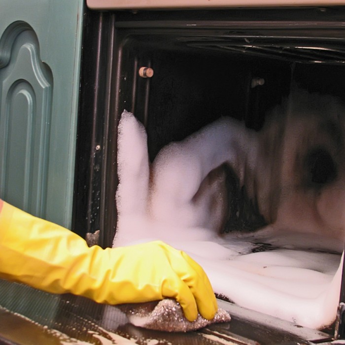 Cleaning Test Method DCC-12 | Guidelines for Screening the Efficacy of Oven Cleaners image