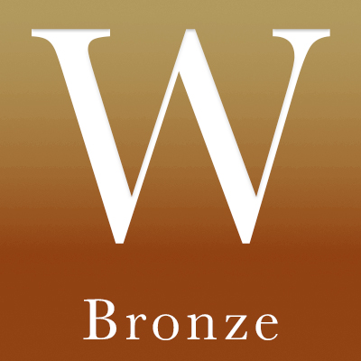 Workshop Sponsorship - Bronze